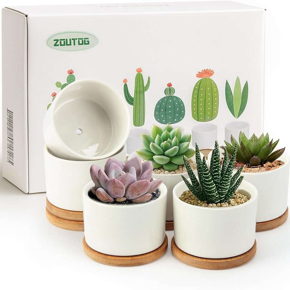 Succulent Pots 3.1 Inch,6 Pack Succulent Planters,Small Pots for Plants with Dra
